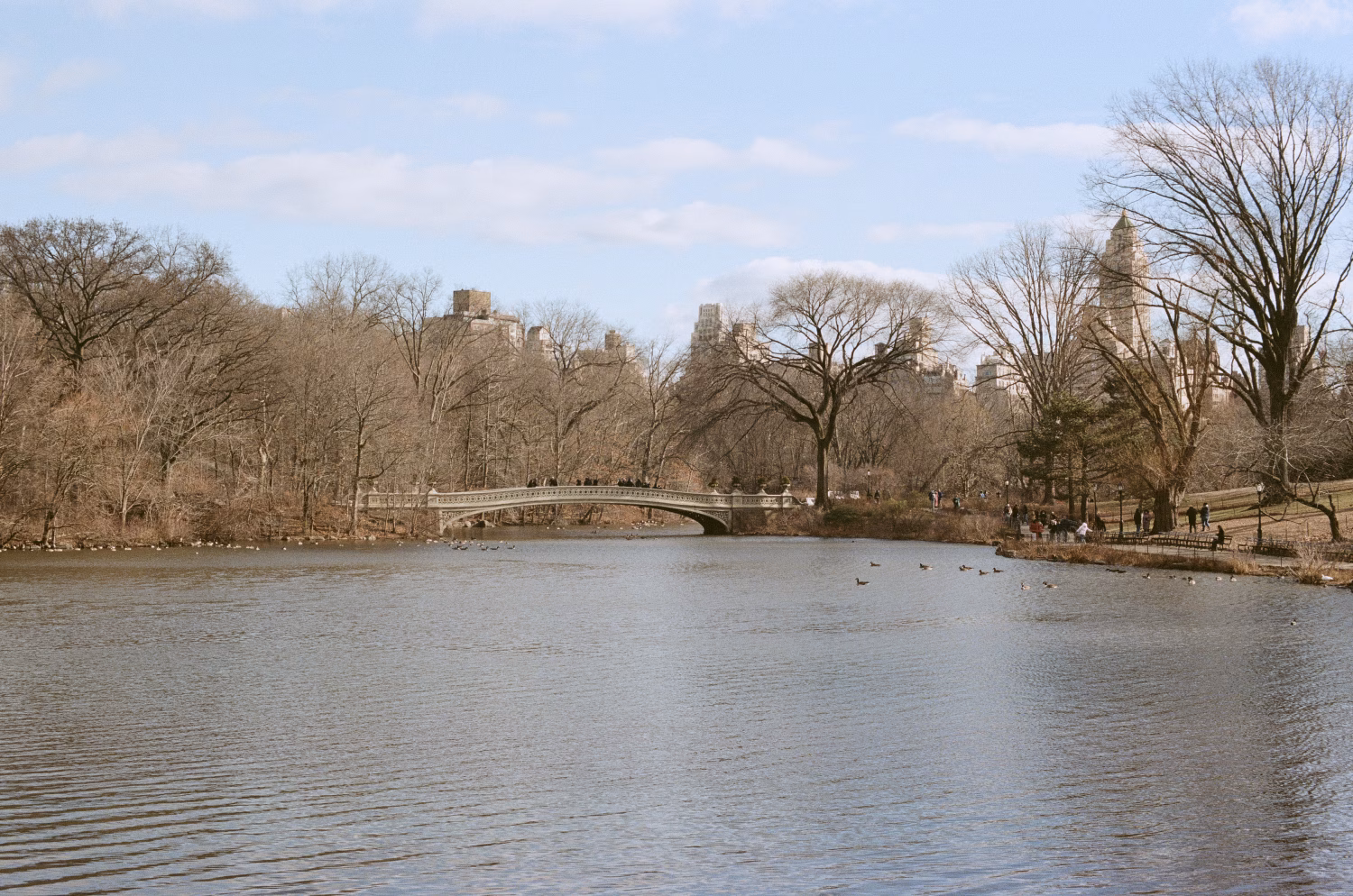 Central Park Lake